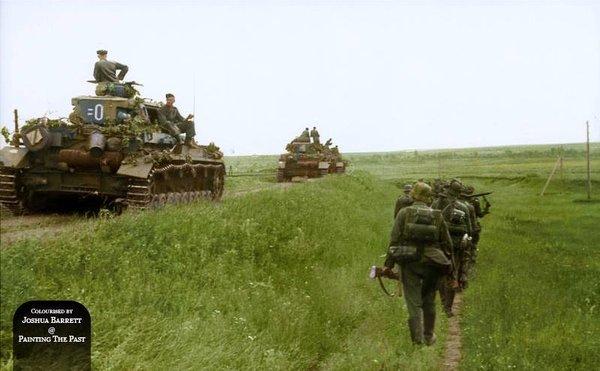���� ����� 41-��